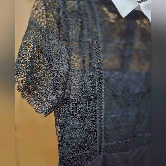 Black Lace Peekaboo Culotte Crop Jumpsuit NWT Venus Sz 16 - Picture 4 of 16